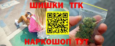 стаф Гатчина