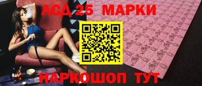стаф Гатчина