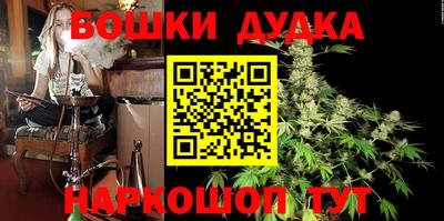 МДПВ Гай