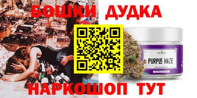 МДПВ Гай