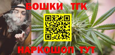 стаф Гатчина