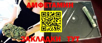 стаф Гатчина
