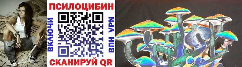 Псилоцибиновые грибы Cubensis  Кирово-Чепецк 